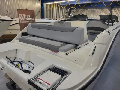 Bayliner M19