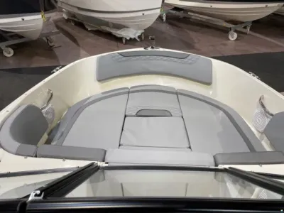 Bayliner M19