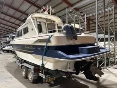 Bella Falcon 26