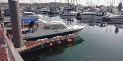 Bella Falcon 26