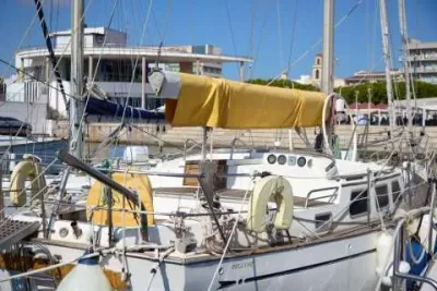 Belliure 41