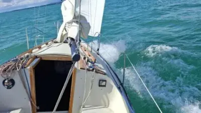 Bianca 28