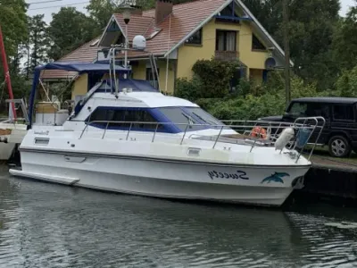 Birchwood TS 31