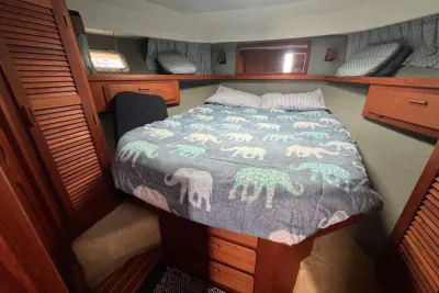Blackfin 31 Combi 1997