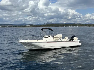 Boston Whaler 210 Montauk