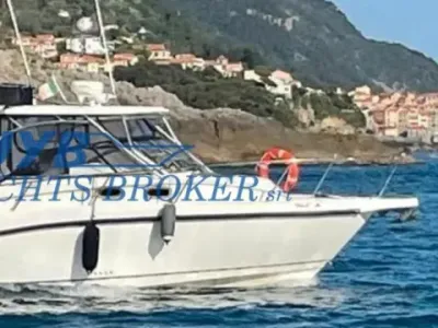 Boston Whaler BOSTON 305 CONQUEST