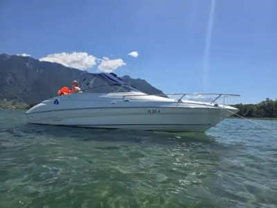 Campion Allante 6251