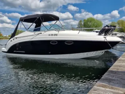 Chaparral 250 Signature