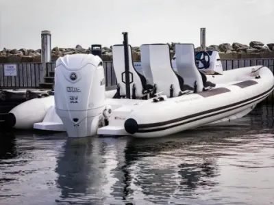 Cito XR7 2026