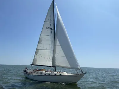 Classic Sailing Yacht/Bacchant IV (Zwede