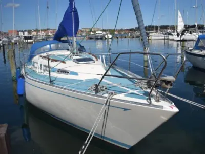 Colina L29 DEN 113