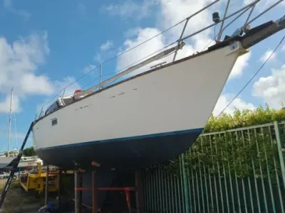 Colvic Victor 34