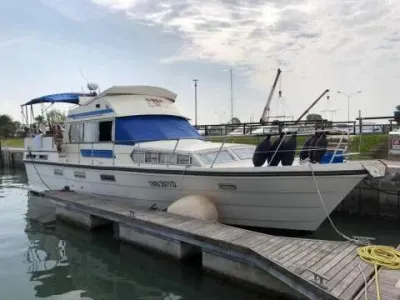 Condor Comtess 44