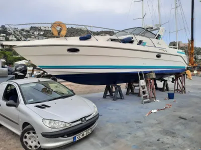 Cranchi 32