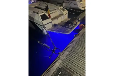 Cranchi A46 Luxury Tender 2023