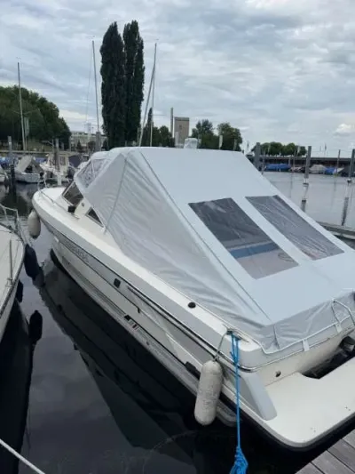 Cranchi Endurance 31