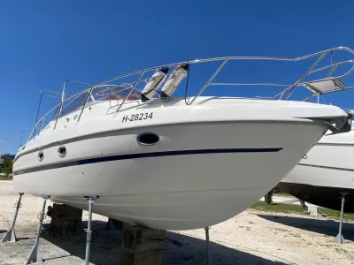 Cranchi Zaffiro 28