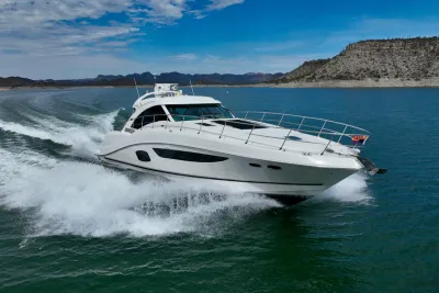 Cutwater C-242 Coupe 2017