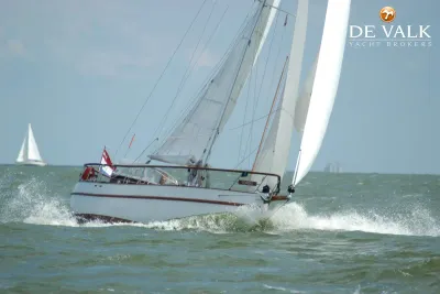 DANISH ROSE 31 sailing yacht for sale