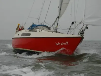 Deerberg Beryll