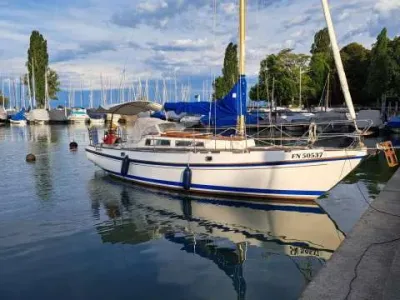 Deerberg Saphir 3