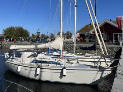 Dehler 31