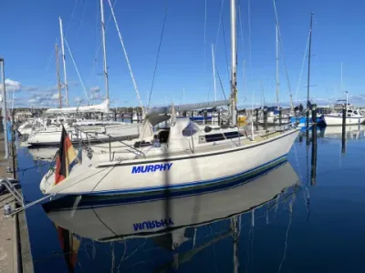 Dehler Optima 101