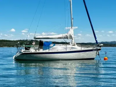 Dehlya 25