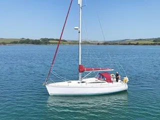 Delphia 37