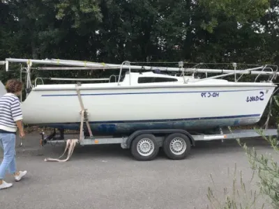 Delphia Sportina 680