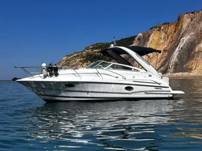 Doral 250 Monticello, DESERT ROSE | Boats for Sale