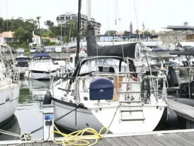 Dufour 3800