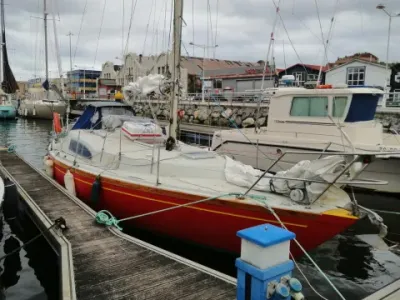 Dufour Arpège