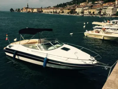 Europe Marine Viper 243