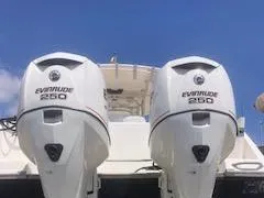 Evinrude E-tec 250