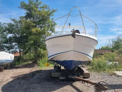 Fairline 33 TARGA