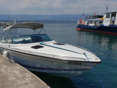 Formula 223 LS