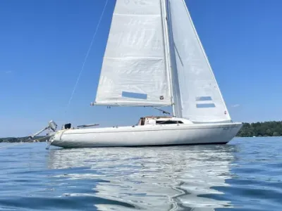 Frauscher h26