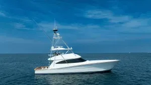 Free Spool 72' Viking 2023