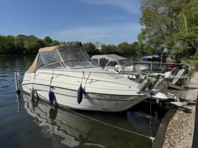 Glastron 249