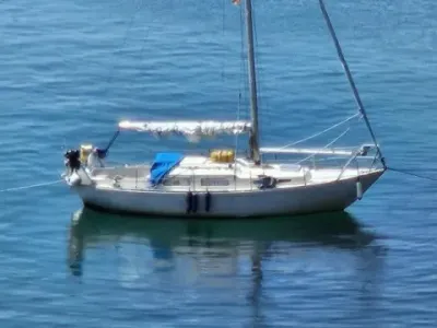 Great Dane 28