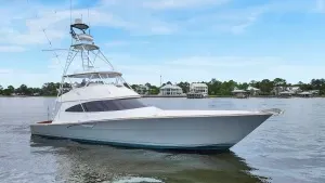 Gunpowder 68' Viking 2020