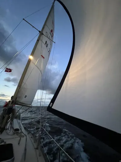 Hallberg-Rassy Monsun 31