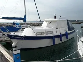 Hardy 27