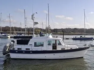 Hardy 36