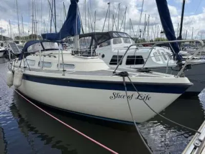 Hurley 800
