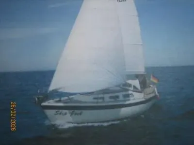 Hurley 800