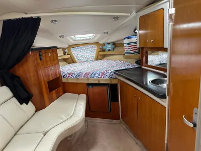 Intrepid 477 Evolution 2021