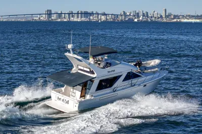 Invincible 39 Open Fisherman 2016