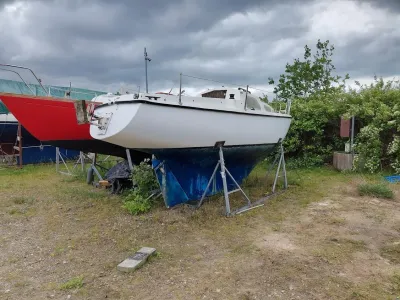Junker 22
